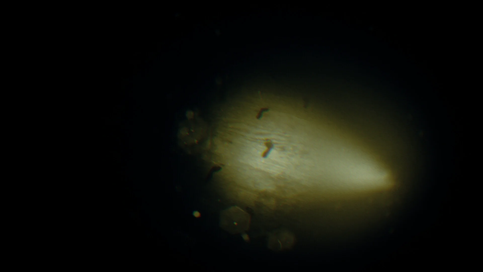 REC: Beyond The Lens screenshot 10