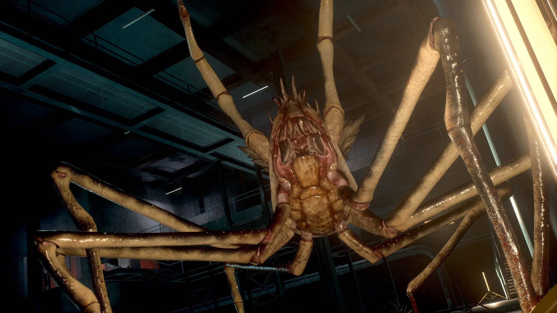 SCP: 5K screenshot 13