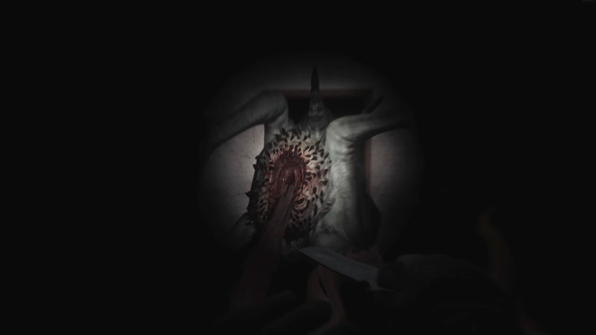 SCP: 5K screenshot 3