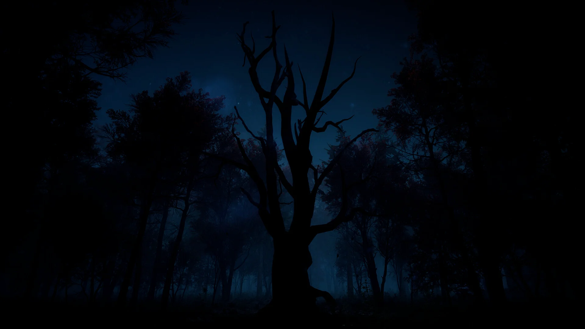 Slender: The Arrival screenshot 8