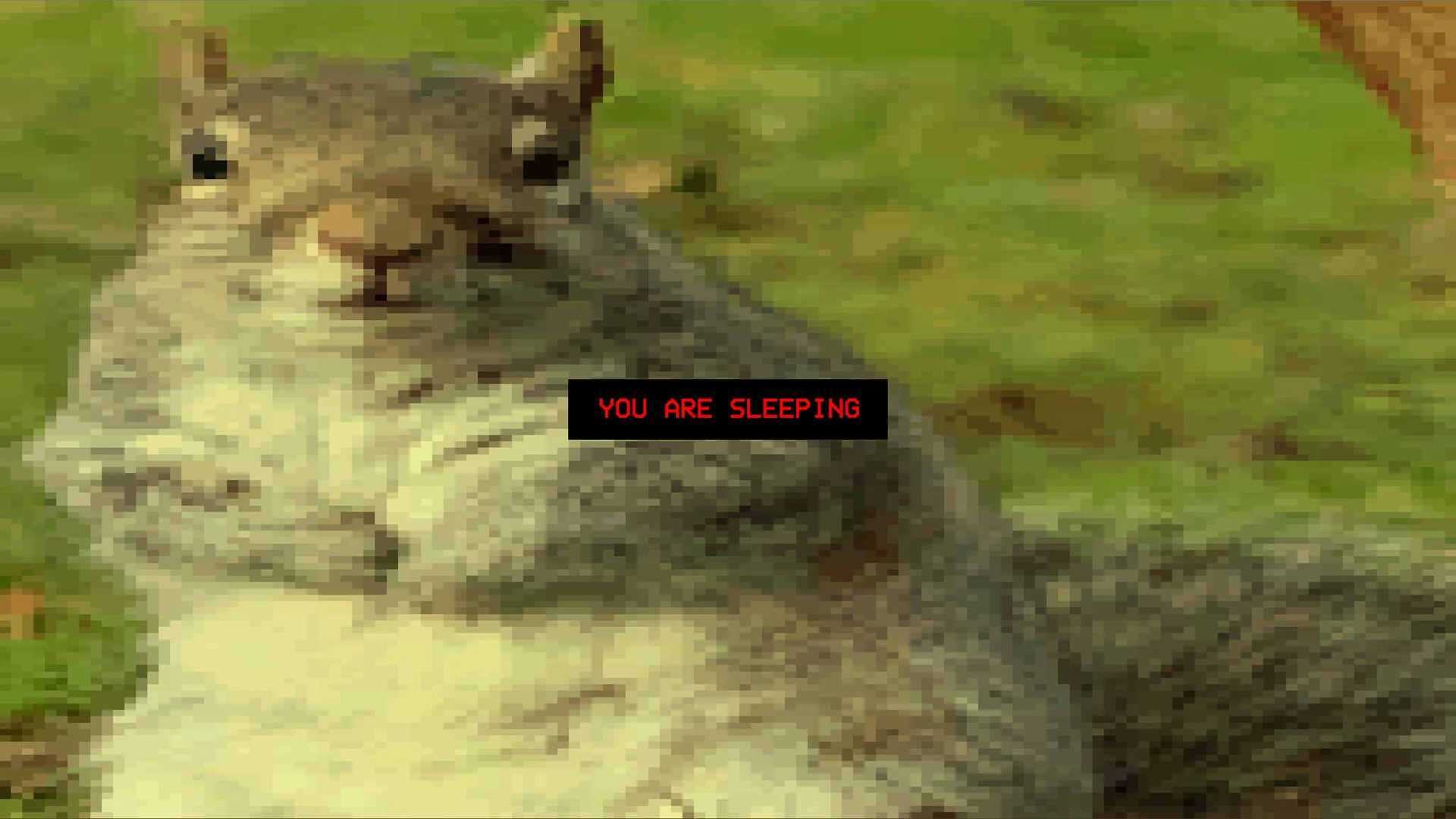 Squirrel Stapler screenshot 2