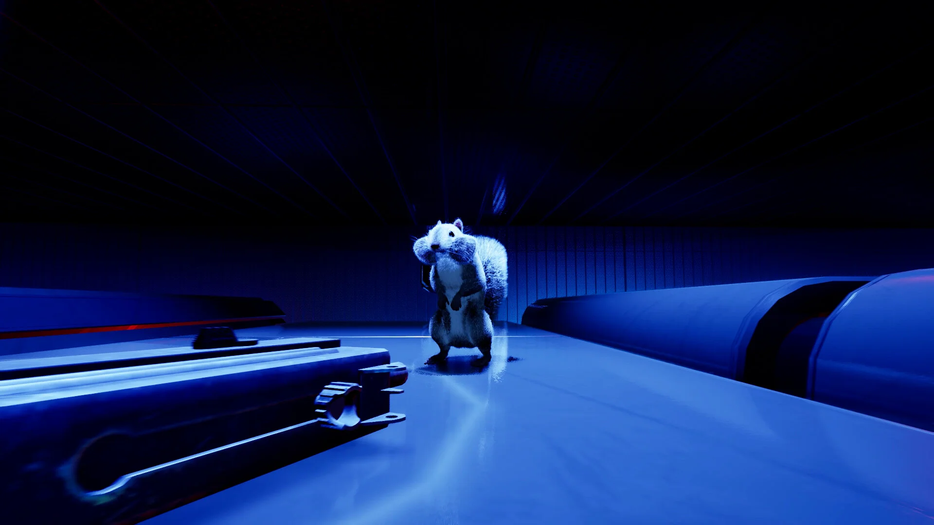 Squirrel with a Gun screenshot 9