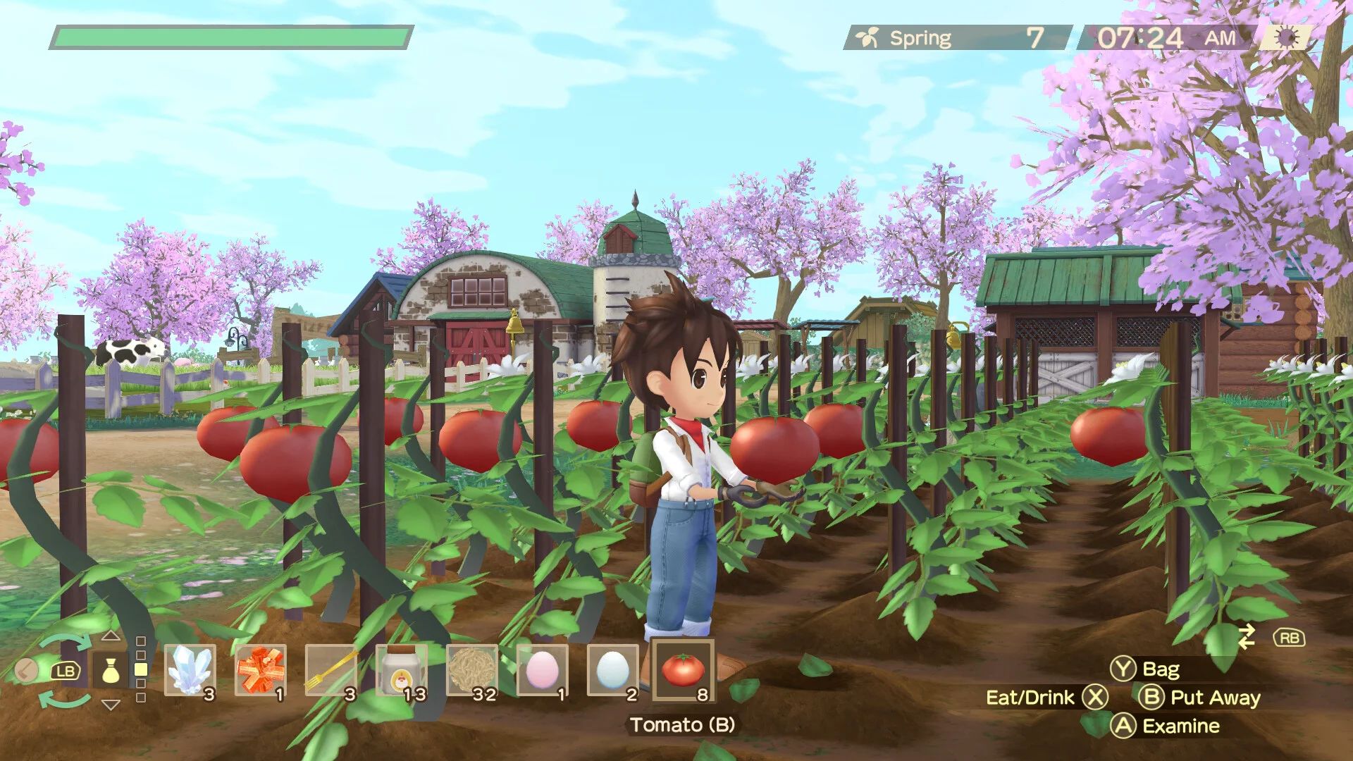 STORY OF SEASONS: A Wonderful Life screenshot 7