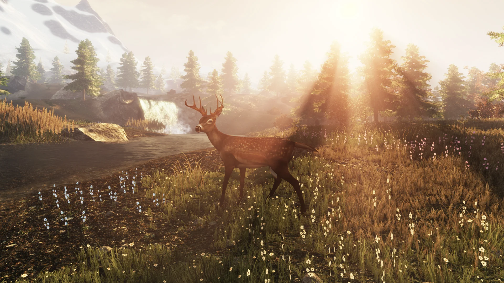 Subsistence screenshot 23
