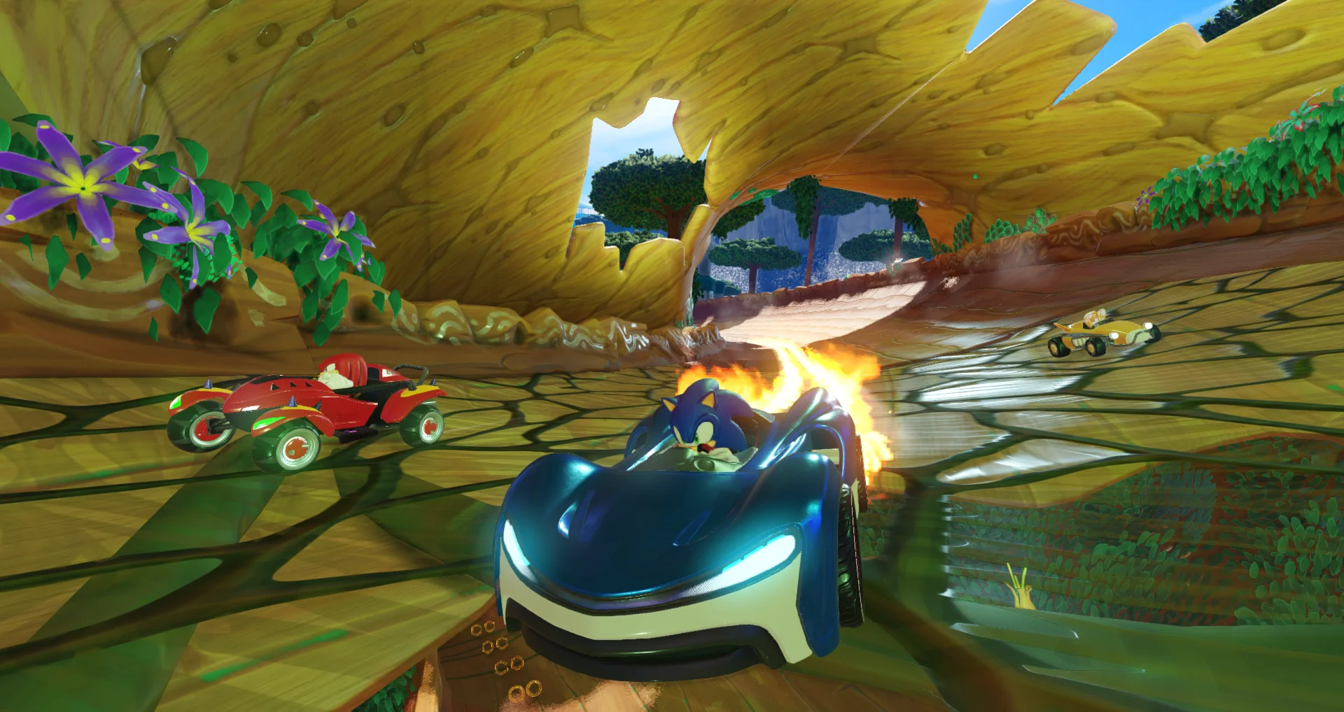 Team Sonic Racing™ screenshot 3