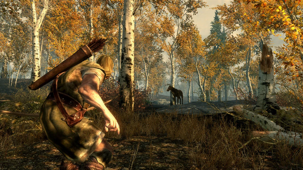 The Elder Scrolls V: Skyrim screenshot 5