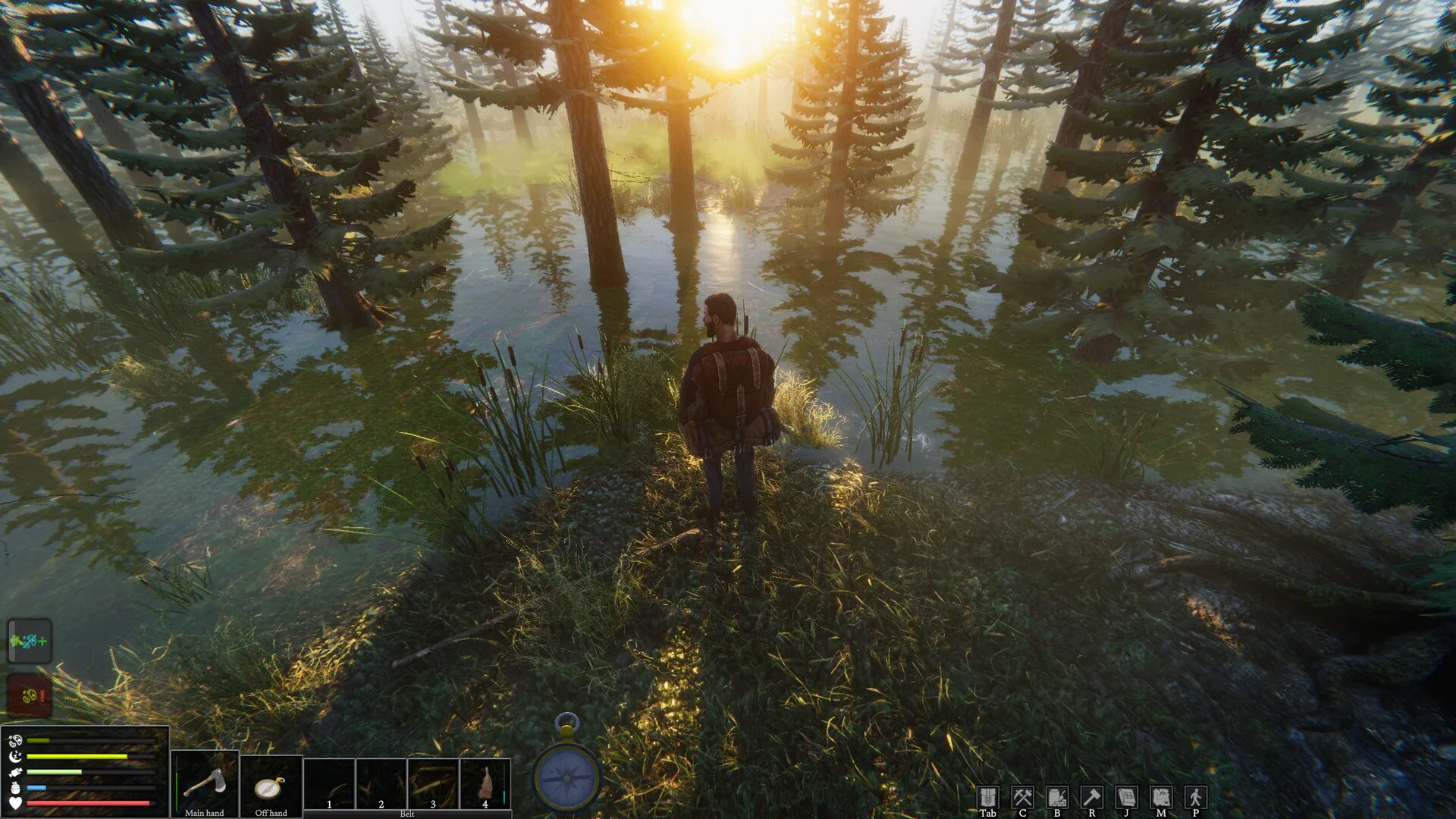 The Last Plague: Blight screenshot 6