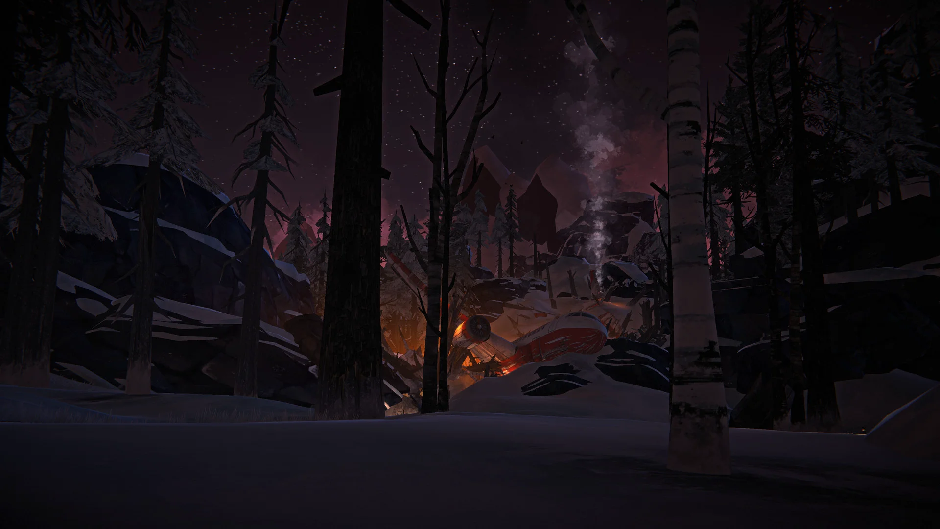 The Long Dark screenshot 21