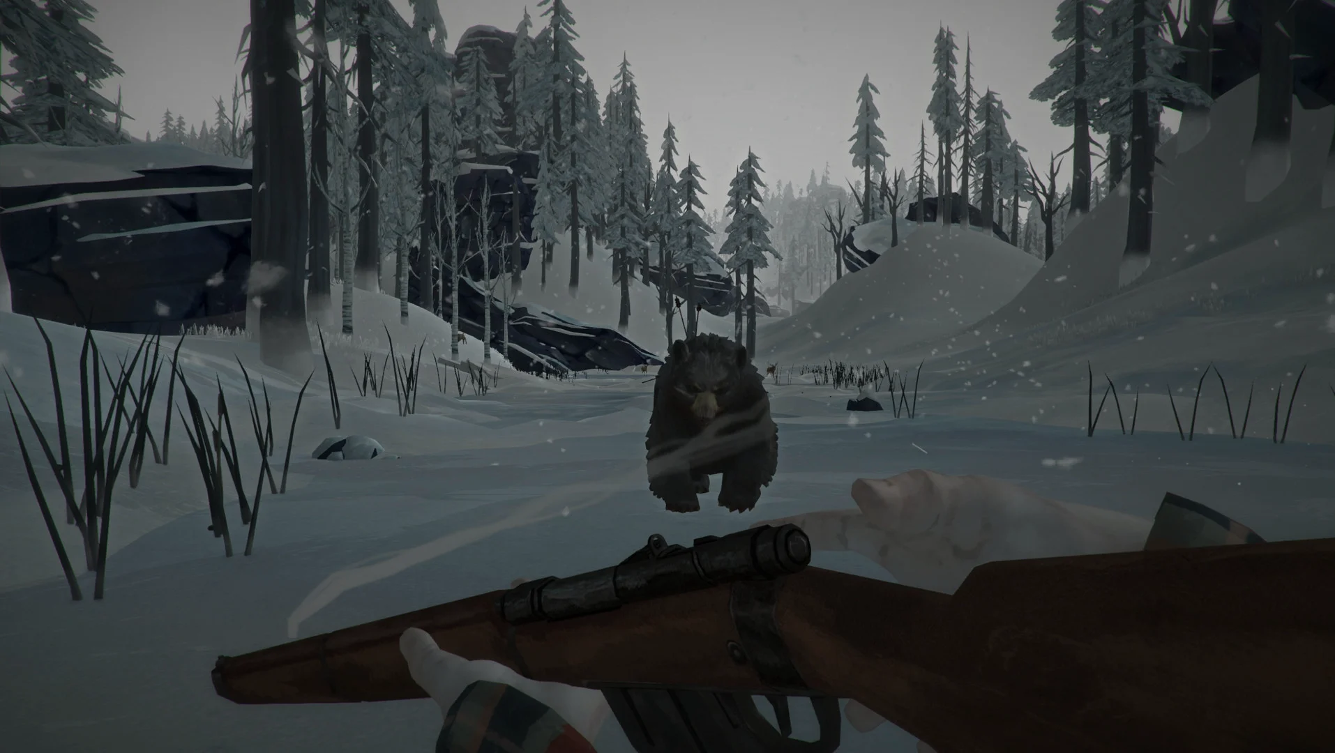The Long Dark screenshot 4