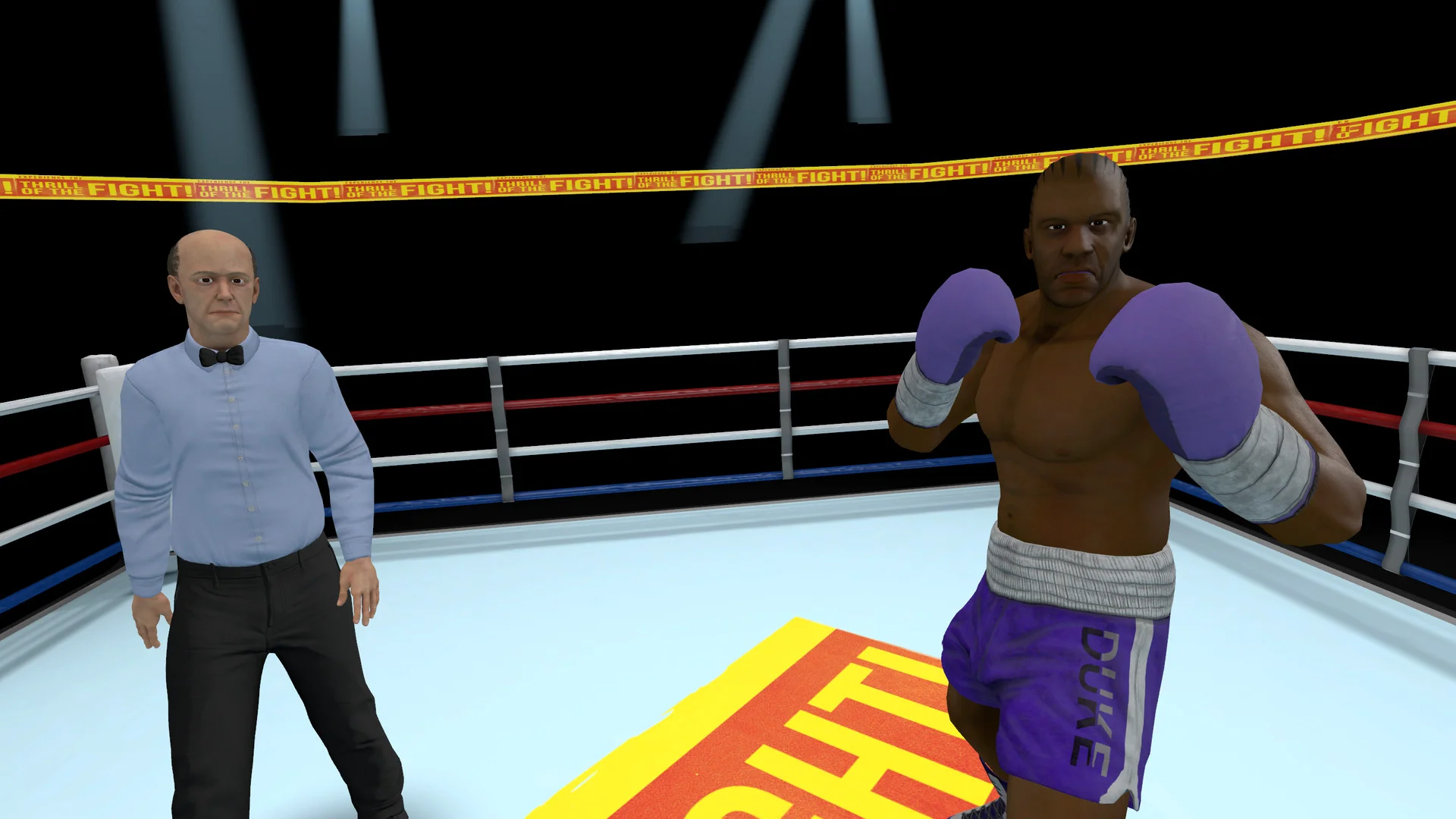 The Thrill of the Fight - VR Boxing screenshot 5