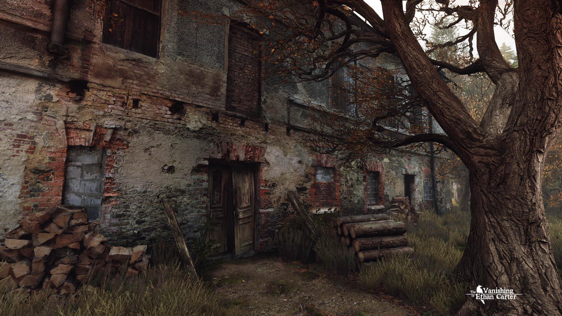 The Vanishing of Ethan Carter screenshot 2