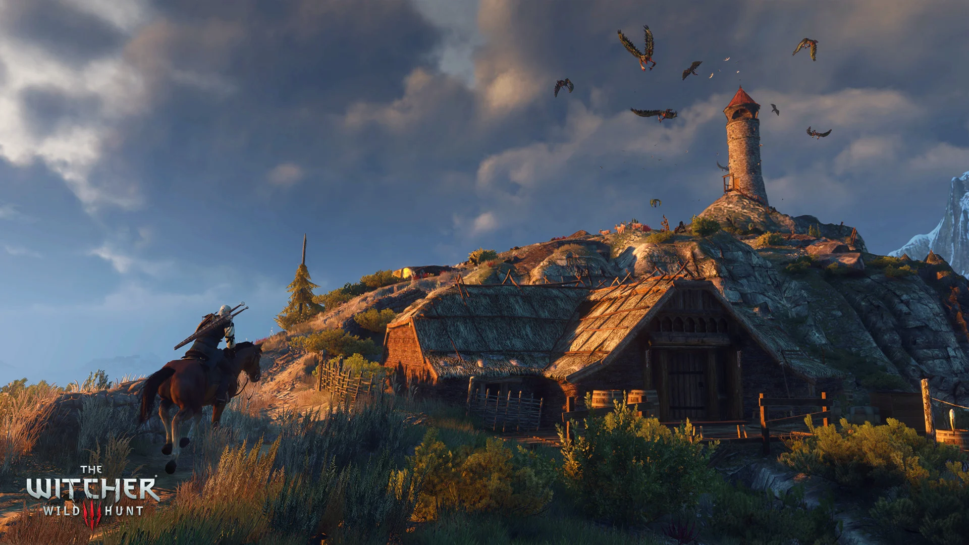 The Witcher 3: Wild Hunt screenshot 14