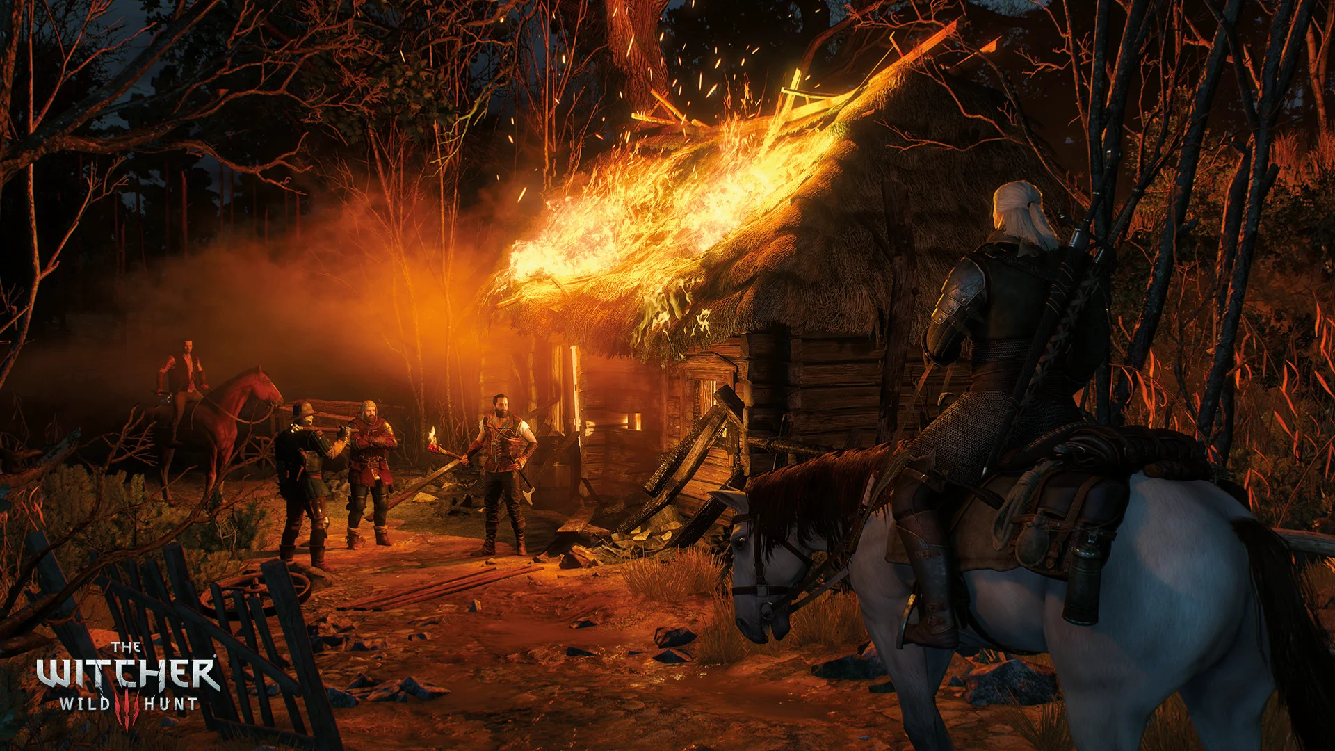 The Witcher 3: Wild Hunt screenshot 15