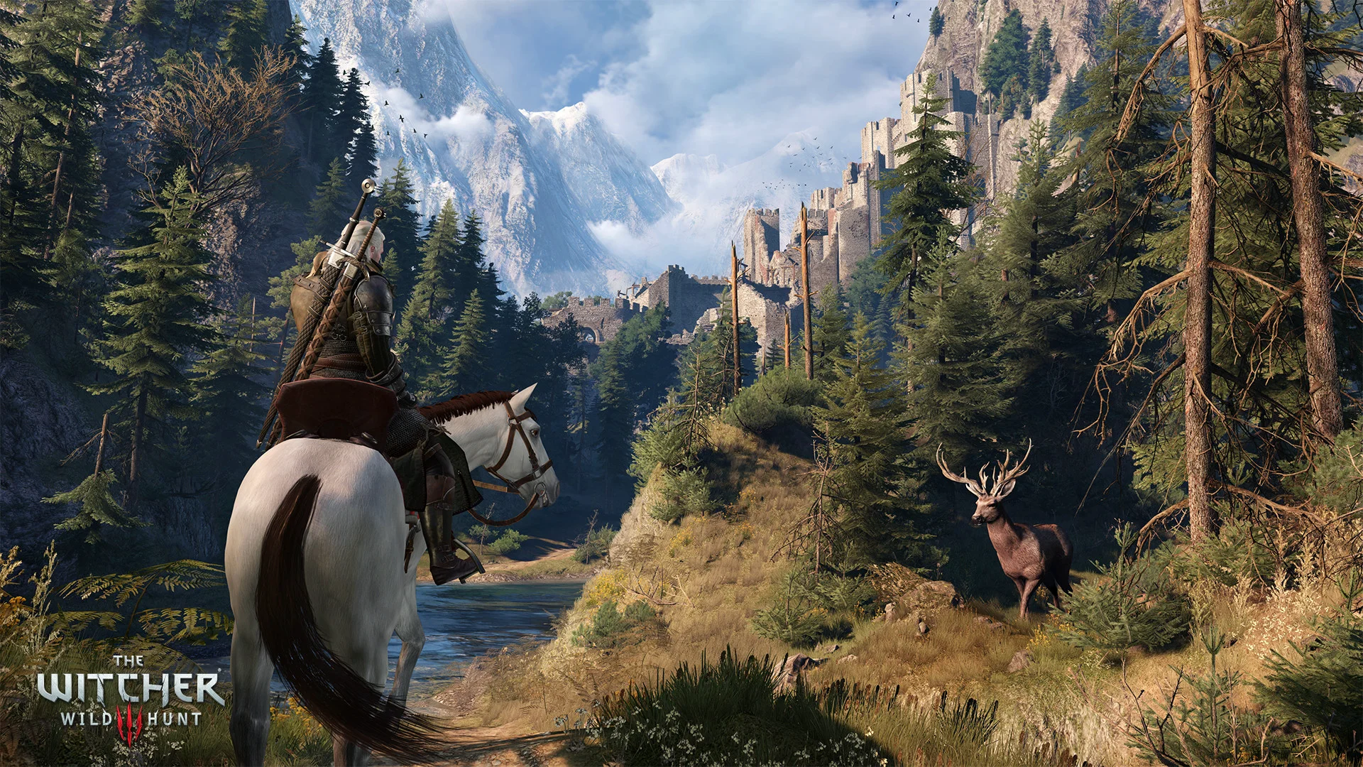 The Witcher 3: Wild Hunt screenshot 17