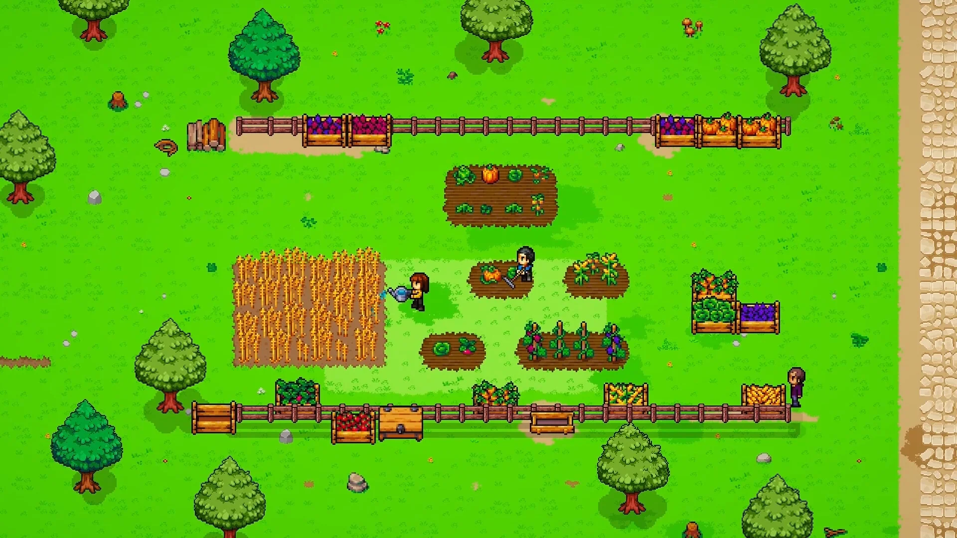 To Pixelia screenshot 20