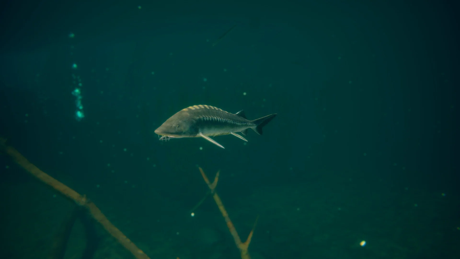 Ultimate Fishing® Simulator 2 screenshot 18