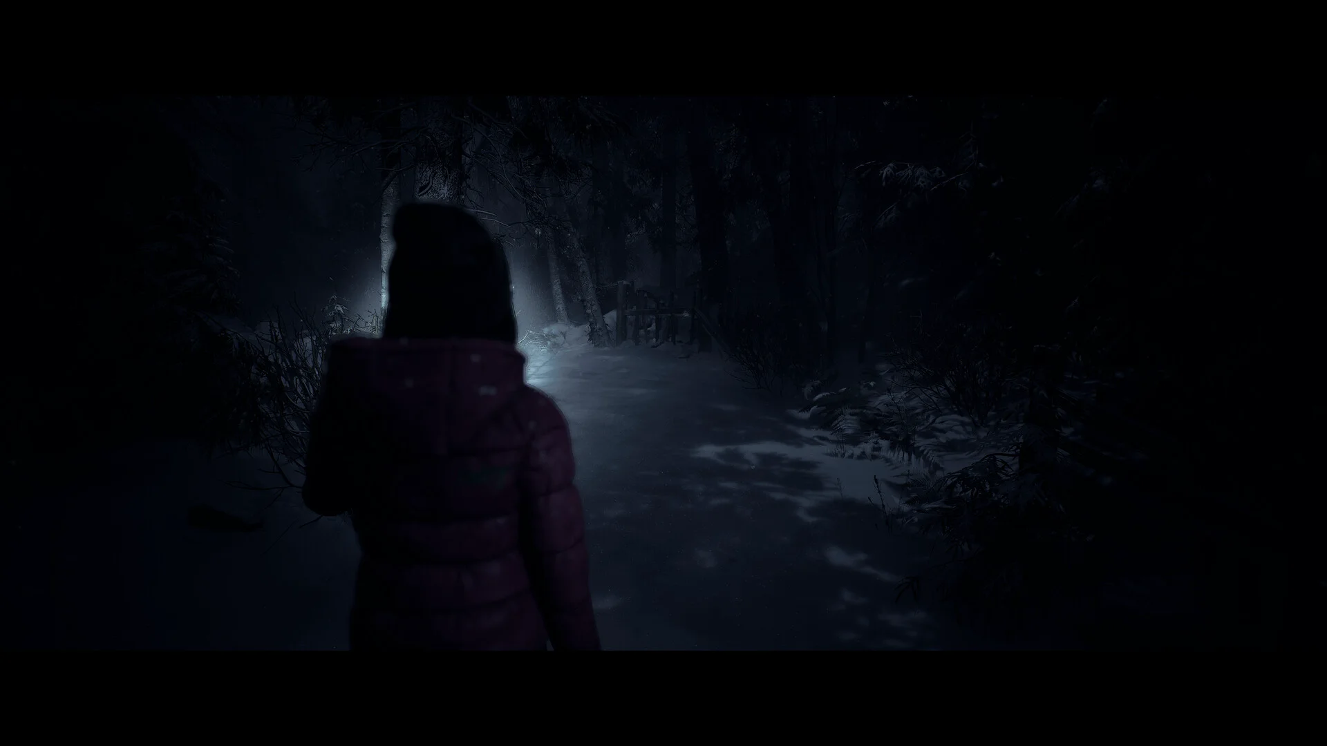 Until Dawn™ screenshot 11