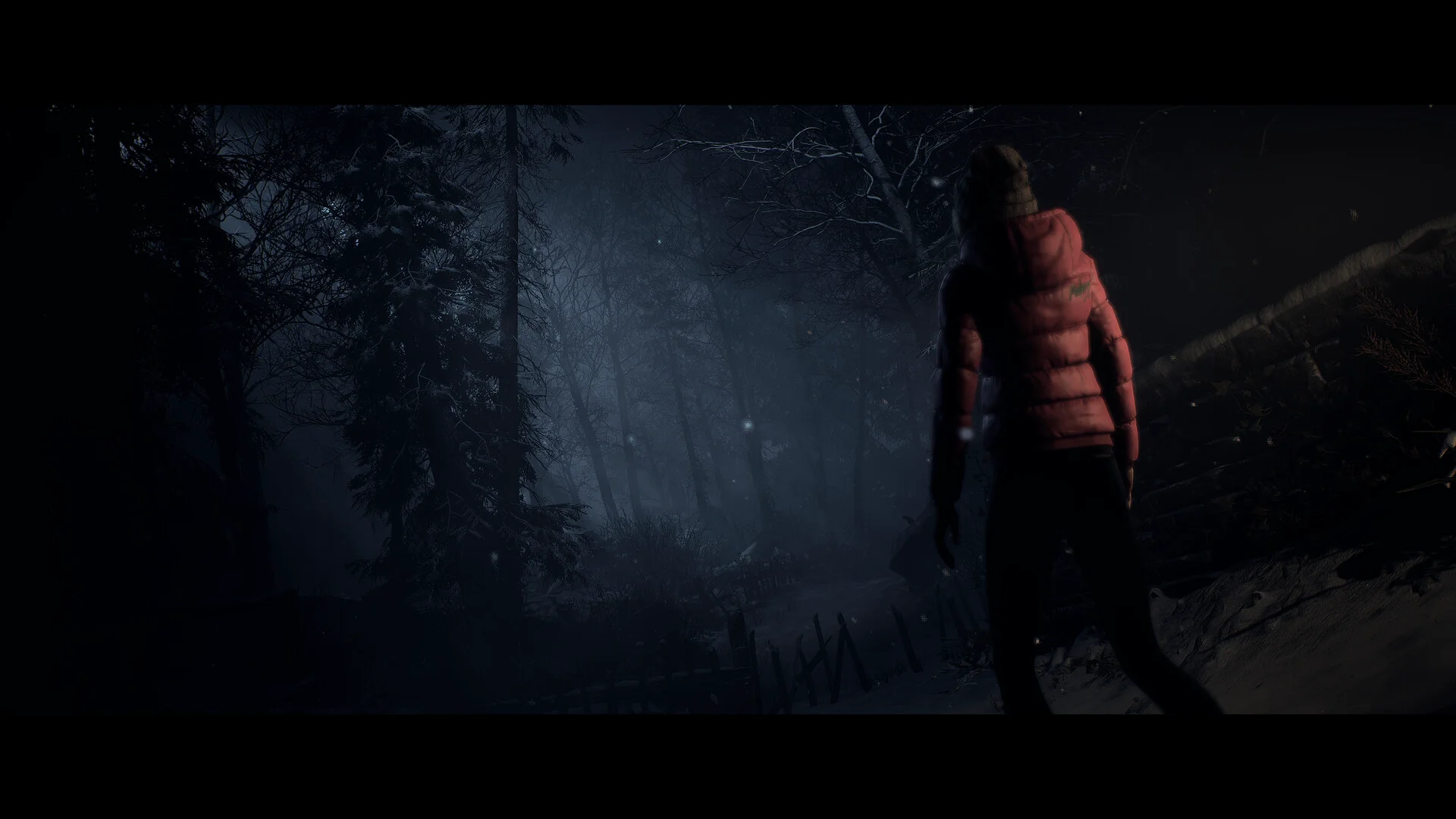 Until Dawn™ screenshot 8