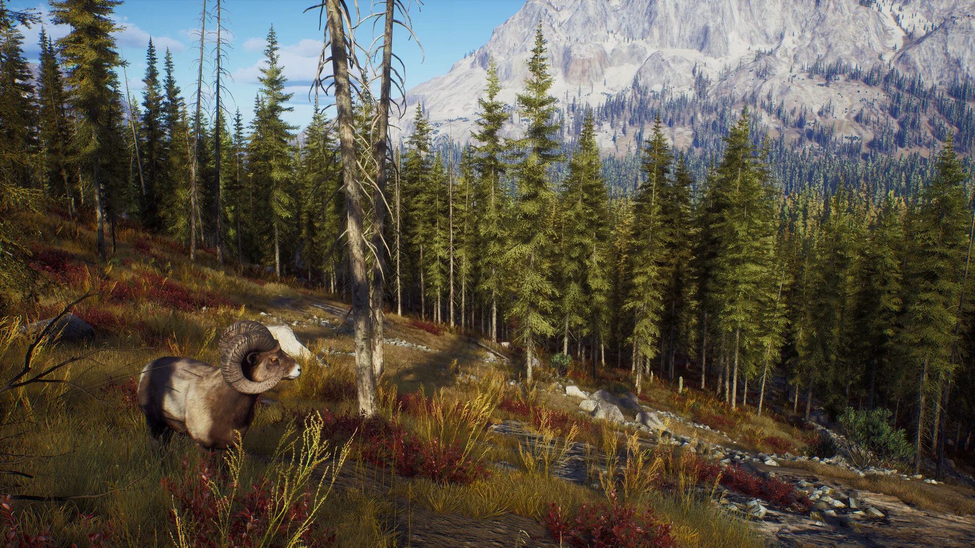 Way of the Hunter screenshot 13