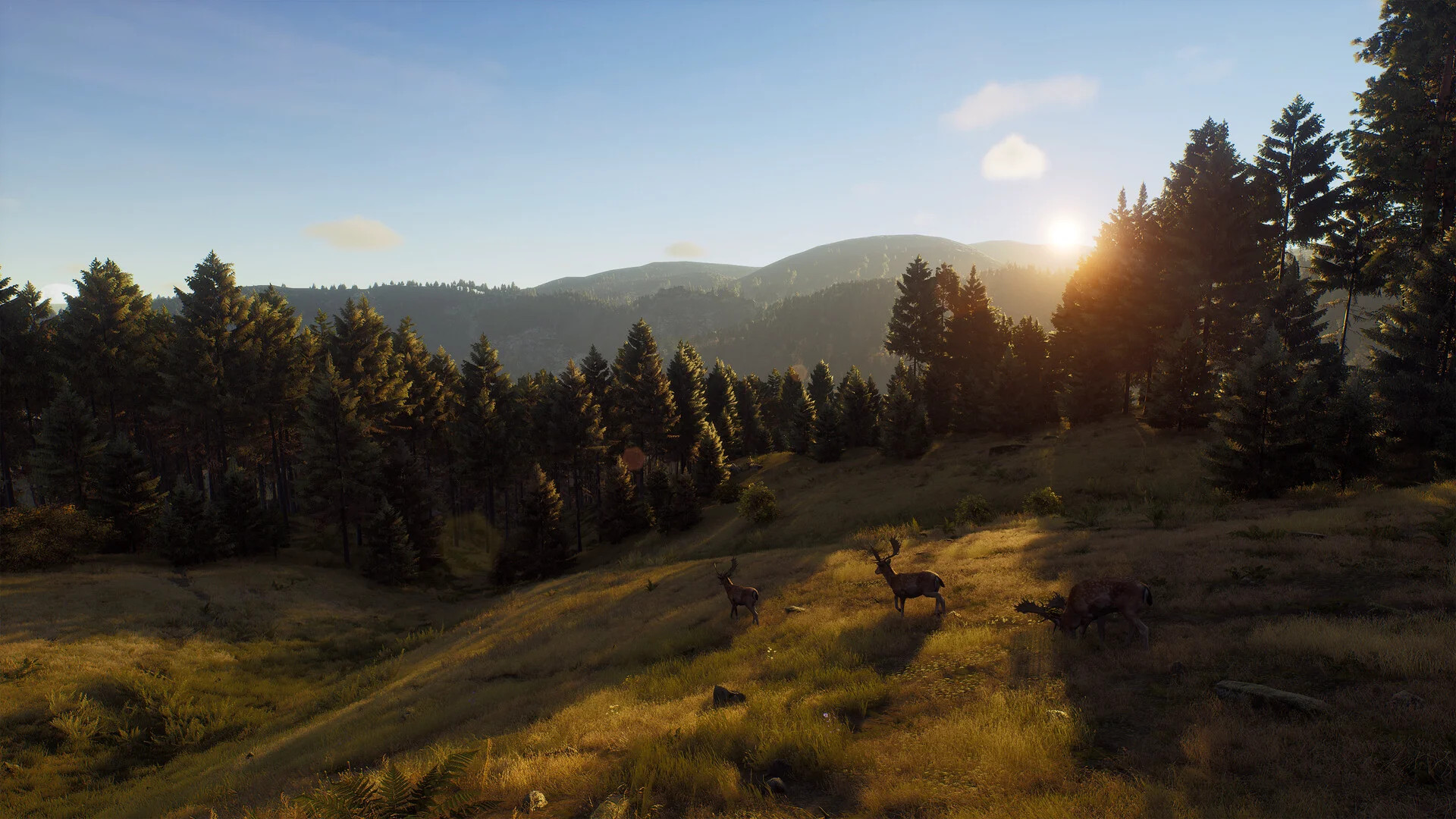 Way of the Hunter screenshot 14