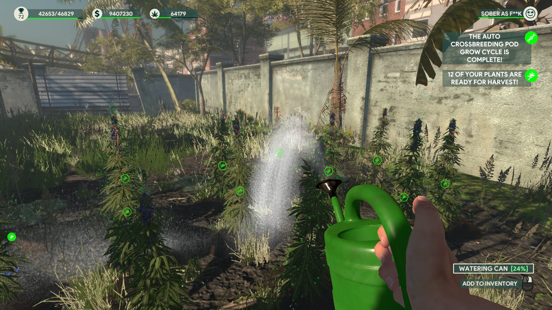 Weed Shop 3 screenshot 12