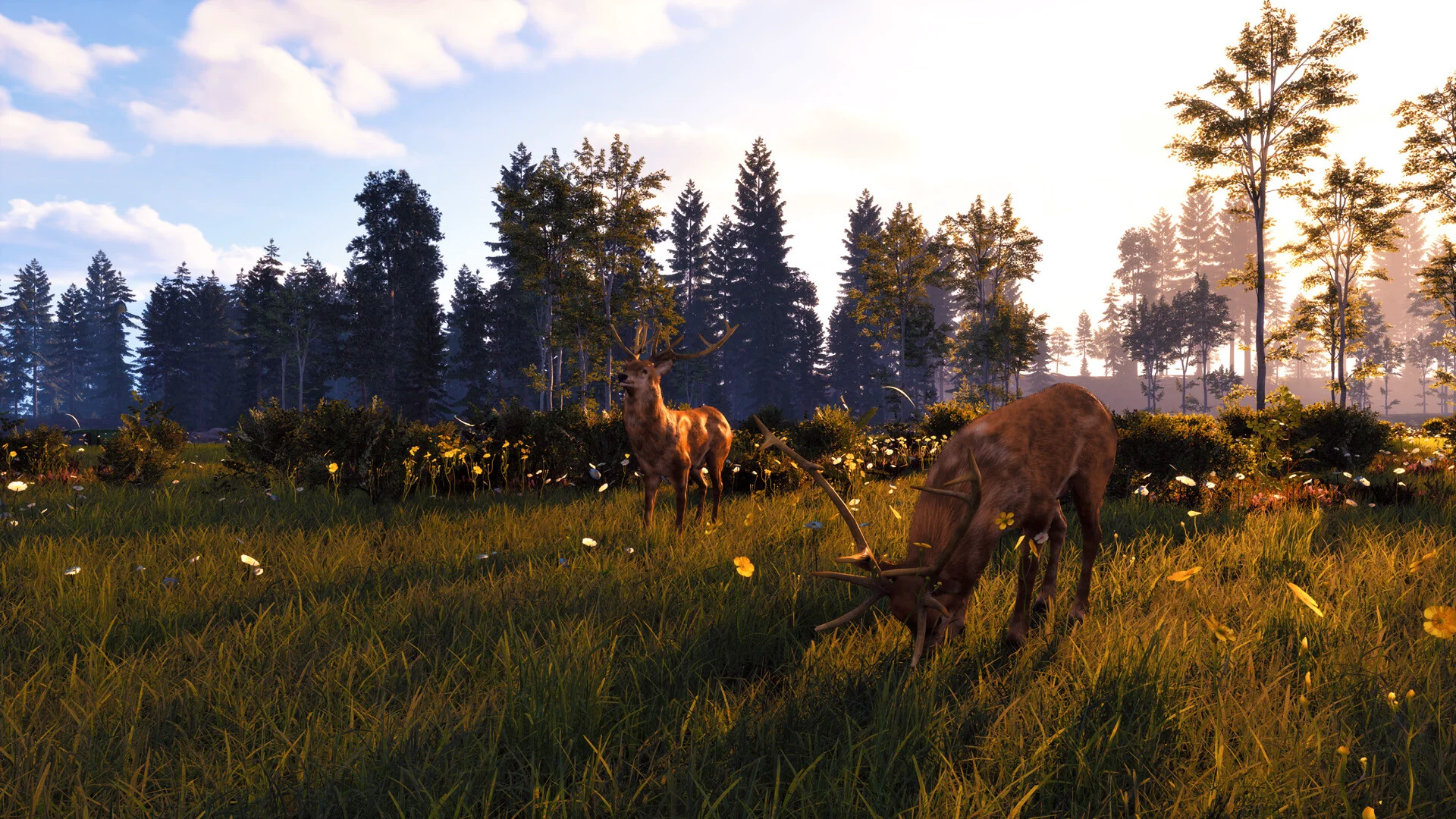 Windstorm: Start of a Great Friendship - Remastered screenshot 3