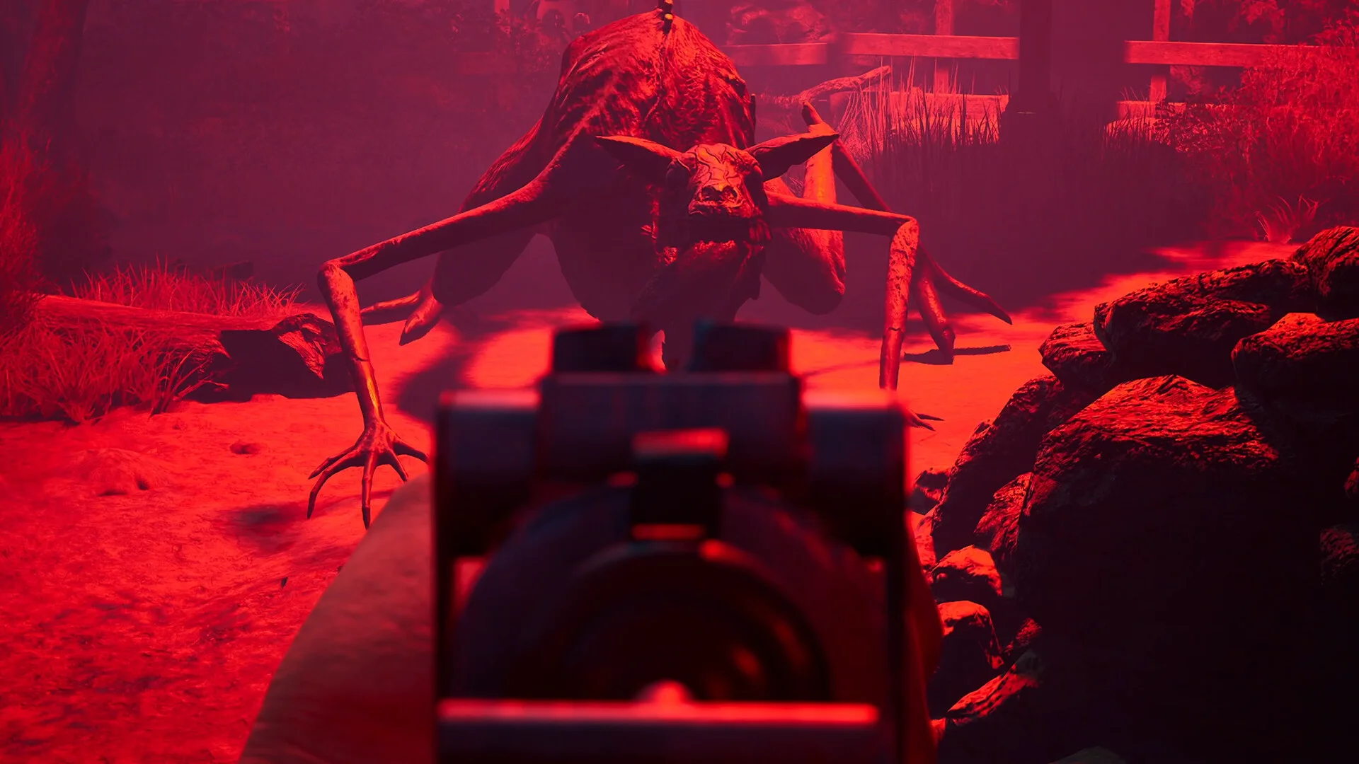 Zoochosis screenshot 8