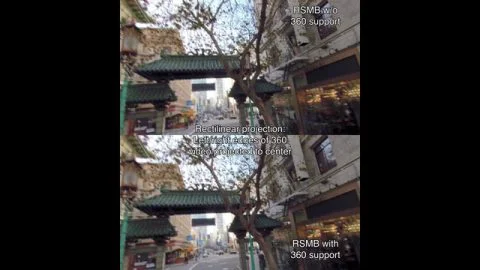 ReVisionFX ReelSmart Motion Blur Pro 