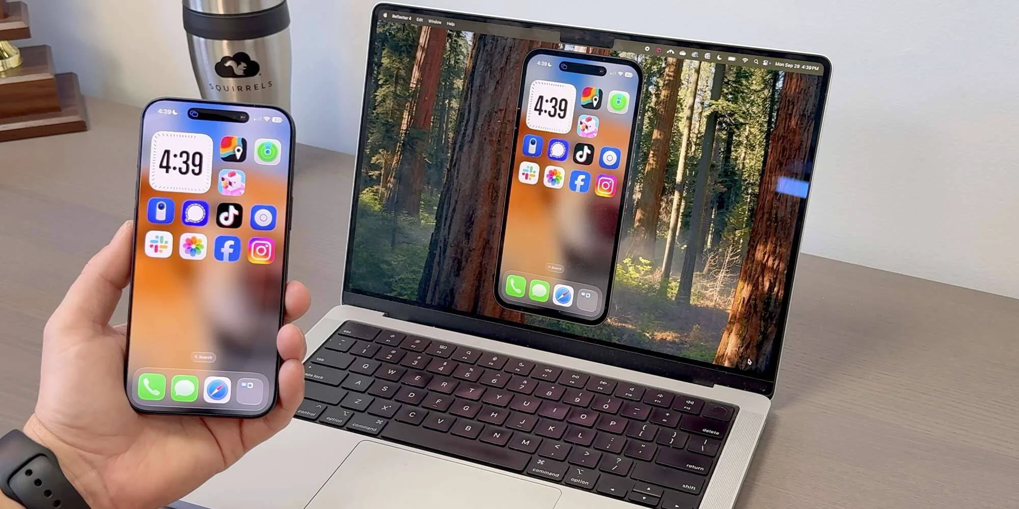 Banner of Squirrels Reflector