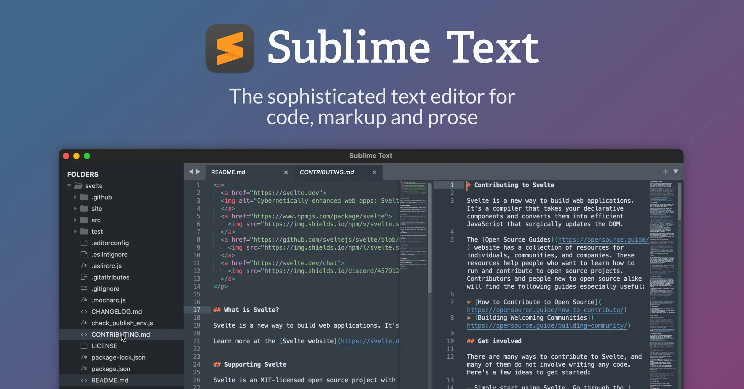 Banner of Sublime Text
