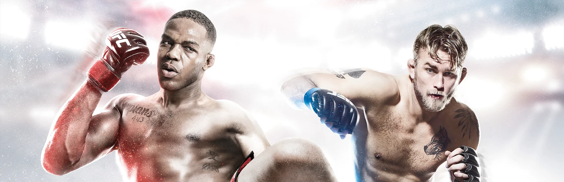 Banner of EA Sports UFC 4