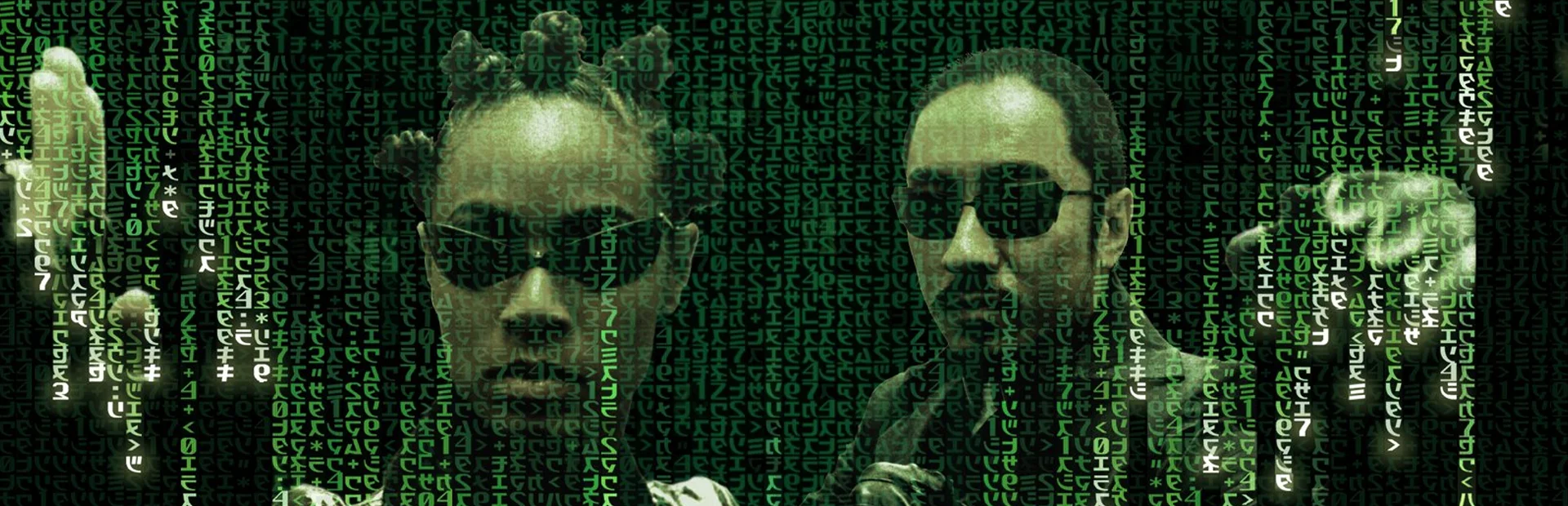 Banner of Enter the Matrix