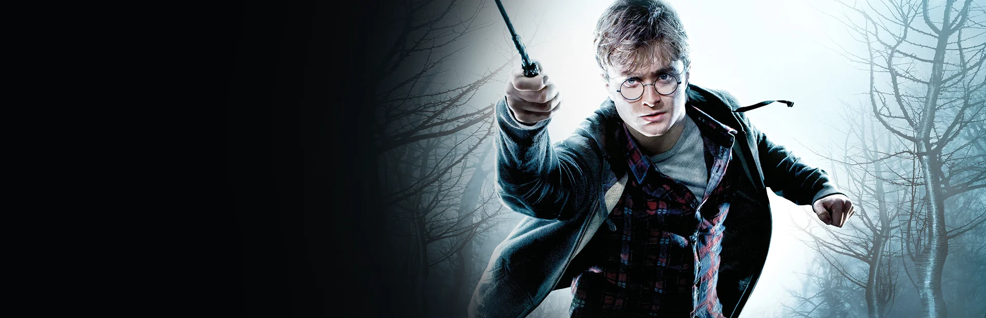 Banner of Harry Potter and the Deathly Hallows: Part 1