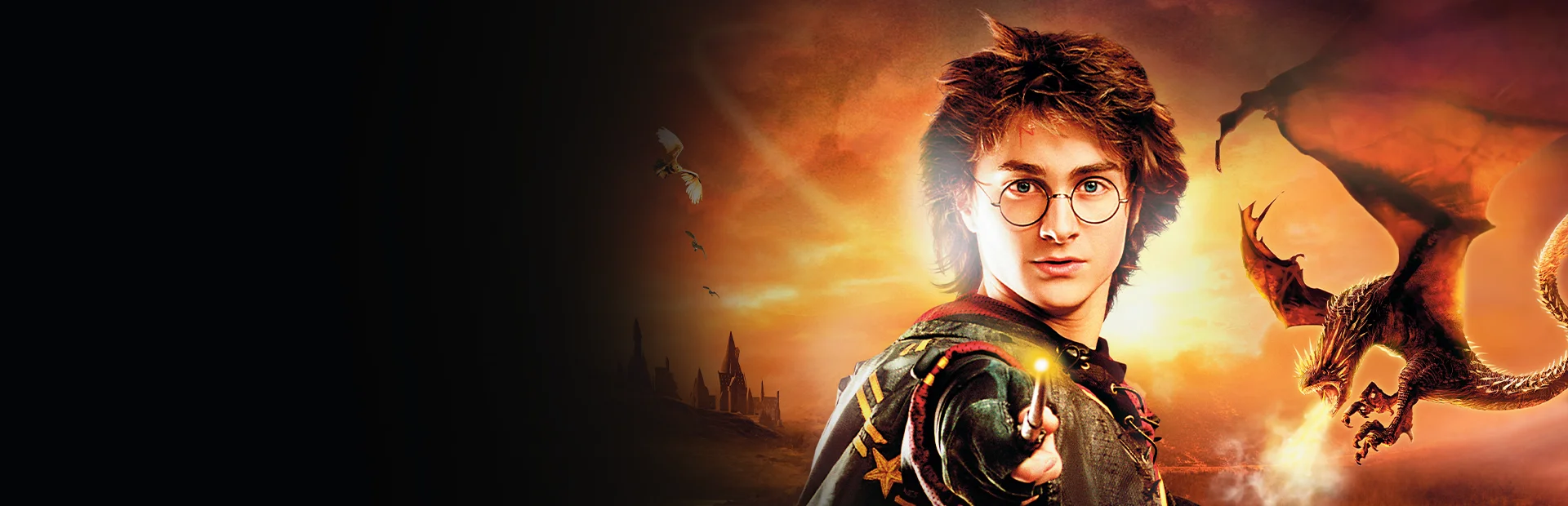 Banner of Harry Potter and the Goblet of Fire
