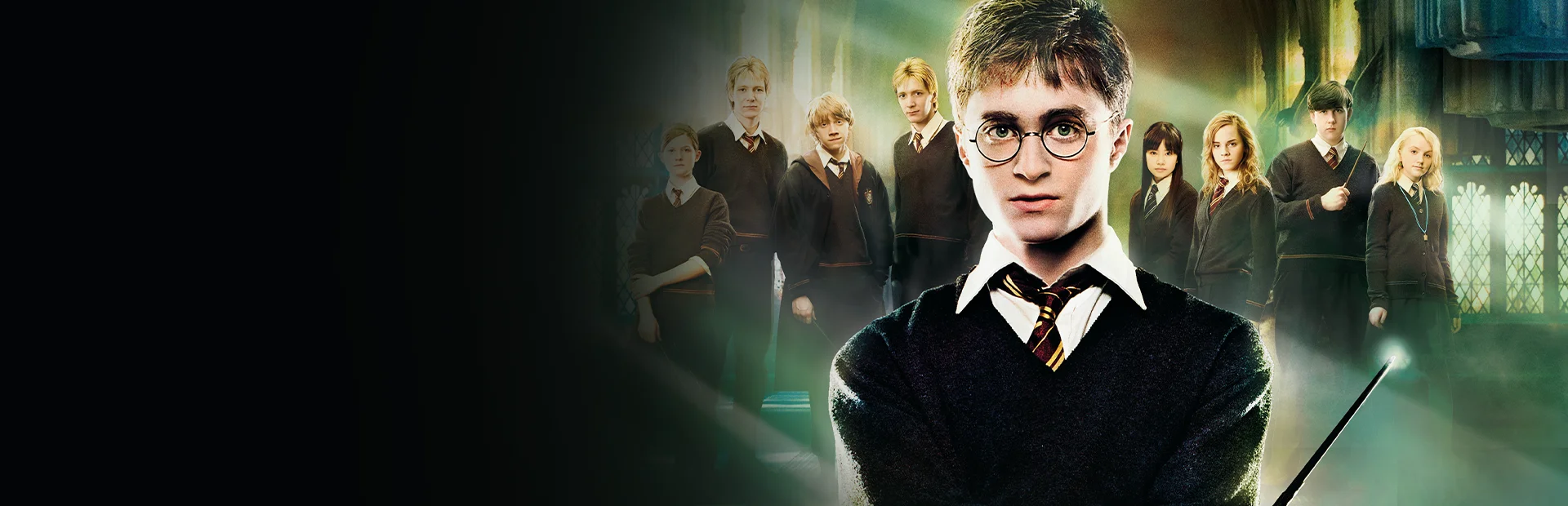 Banner of Harry Potter and the Order of the Phoenix